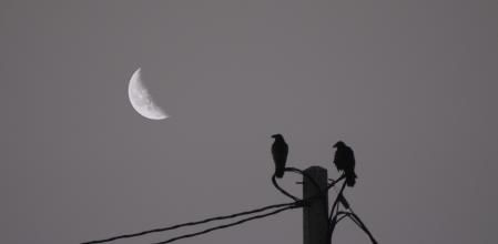 La luna menguante sobre el cielo de Mijas, en Málaga.