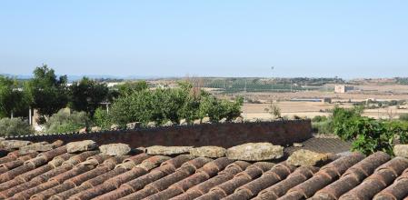 4 aves se esconden en esa imagen.