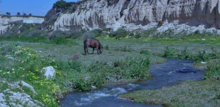 El río Monnegre atraviesa seis municipios y ha sido históricamente clave para el desarrollo de Alicante y su comarca