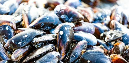 Mejillones frescos