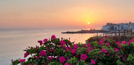 La dama de noche al amanecer en L'Escala.