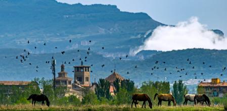 Vista bucólica de Vic.