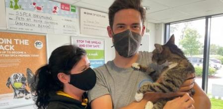 El sorprendente reencuentro de una pareja con su gato desaparecido hacía más de 10 años