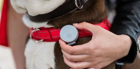 Curve Pet Tracker clip se acopla al localizador GPS inteligente Curve