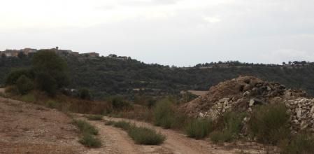 Reto visual, ¿dónde están los dos pájaros?