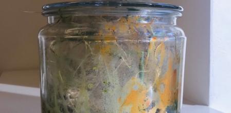 Se olvida una planta en la oficina y encuentra un apocalipsis zombi vegetal dos años después