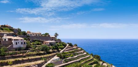 Viñedos de Vanyalbufar