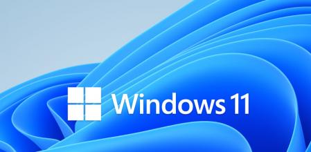 Se han reportado bugs en elementos muy básicos del software