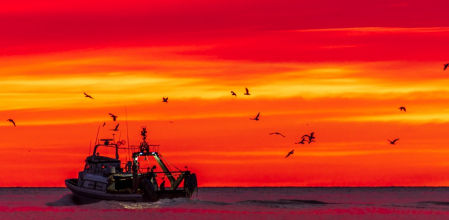 Candilazo desde la playa de la Cepa de Fuengirola (Málaga).
