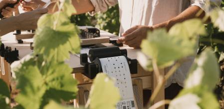 A partir de testimonios de más de 5000 personas, una bodega lanzó un proyecto para convertir las ausencias en música e imprimir una canción en sus etiquetas