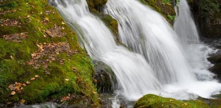 Las Fonts del Llobregat.