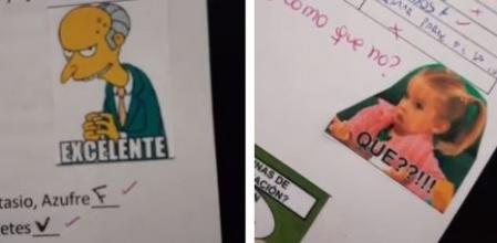 Algunos de los memes que utiliza Daiana Amores para corregir a sus alumnos
