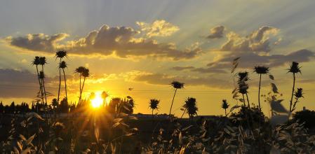 Calzada de Calatrava