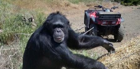 Hacía 17 que vivía con la familia