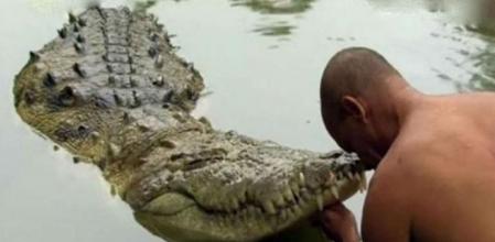 Conoce a Babiya, el cocodrilo vegetariano que vive con los monjes de un santuario en la India