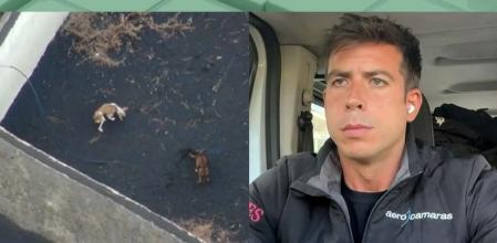 Imagen del vídeo en el que Jaime Pereira muestra su enfado y el de la compañía