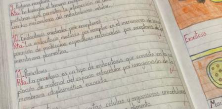 @stivenarang / Twitter