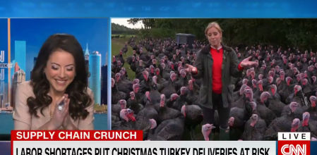 La periodista ha ido a una granja de pavos para hacer un reportaje