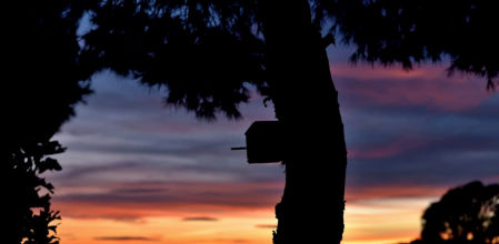 Candilazo al atardecer en Mijas.
