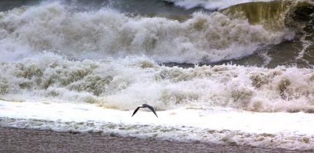 La costa norte registrará fuertes ráfagas de viento este martes