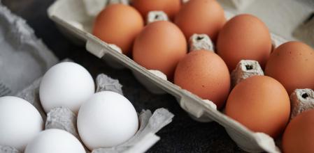 El color del huevo viene determinado por la raza de la gallina