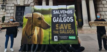 La asociación exige igual protección para todos los animales, porque ninguno debe ser jamás considerado una mera herramienta de trabajo