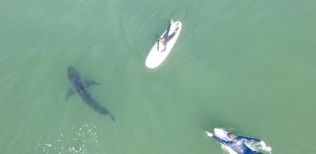 Este increíble metraje fue grabado por Scott Fairchild