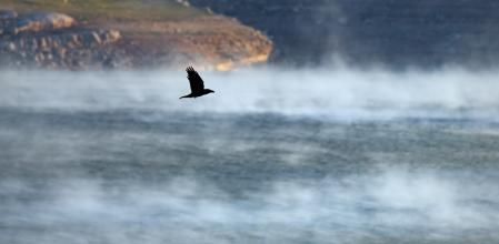 Pantano de Sau al amanecer visto desde los abismos de Tavertet.