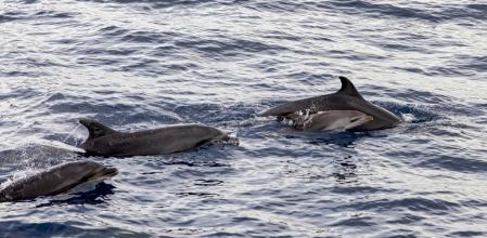 El Gobierno no ha hecho nada todavía para mejorar esta zona sensible