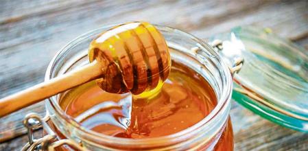 El Centro de Innovación en Bioeconomía Rural del CITA en Teruel acogerá la jornada sobre el proyecto FITEMIEL 2. GOBIERNO DE ARAGÓN 31/10/2021