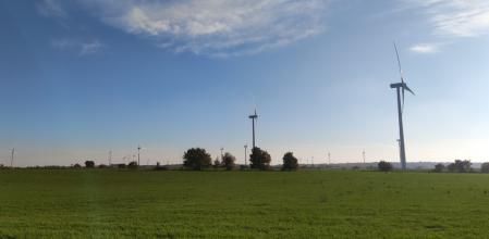 Reto visual: ¿Dónde está la bandada de pájaros?