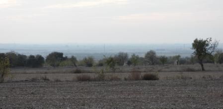 Reto visual: ¿Dónde está el aguilucho?