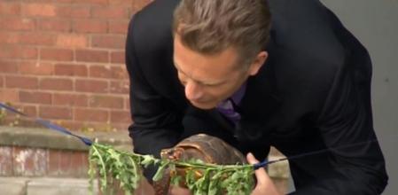 Una tortuga enamora a las redes con un peculiar vídeo inaugurando un laboratorio de ciencias