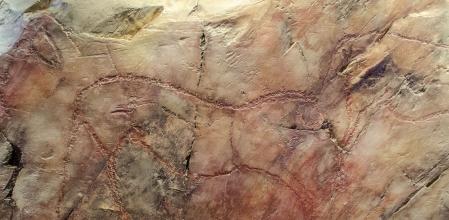 Grabado sobre pizada en la zona arqueológica de Siega Verde