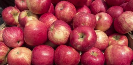 Manzanas de la variedad Pink lady