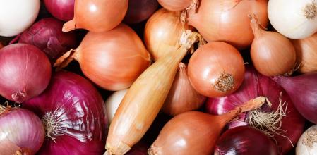 Cebollas de distintas variedades