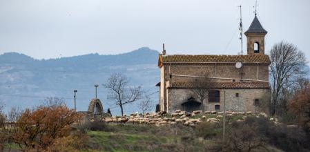 El rebaño de David.