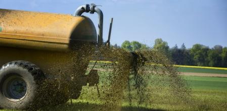La mala gestión o exceso de vertido de purines provoca contaminación del suelo y de las aguas del subsuelo .