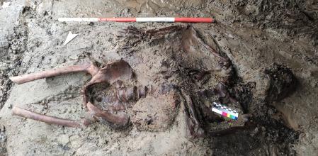 El esqueleto de un hombre de entre 40 y 45 años hallado en octubre en la playa de Herculano