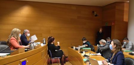 Los portavoces de Unides Podem y el PSPV, Pilar Lima y Manolo Mata, este jueves antes de la comisión.