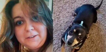 La divertida historia del chihuahua que ignoraba a su dueña porque solo entiende el español<br>