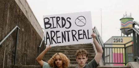 Los Estados Unidos responden a la conspiración más loca de los negacionistas de los pájaros