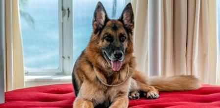 La leyenda cuenta que ha ido heredando propiedades