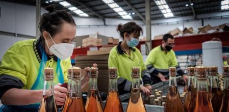 05102021 Reportaje sobre dos hermanos con discapacidad intelectual, cada uno miembro de una colla castellera rival y que trabajan en , en la nave Mas Alborn`Creem oportunitats’de Vilafranca del Penedes