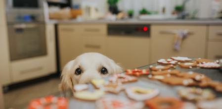 ‘Qué bien tenerte en la mesa’: la verdadera clave de las Navidades que dejan huella