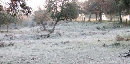 Campo helado en Les Masies de Roda.
