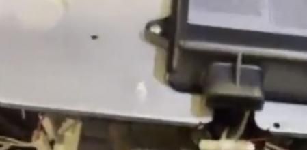 El vídeo de TikTok tiene millones de reproducciones