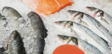 Salmón congelado