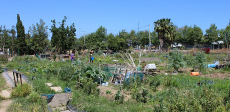 Huertos urbanos autogestionados del CSOA l'Horta de Benimaclet