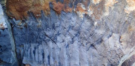 Se encontró de casualidad